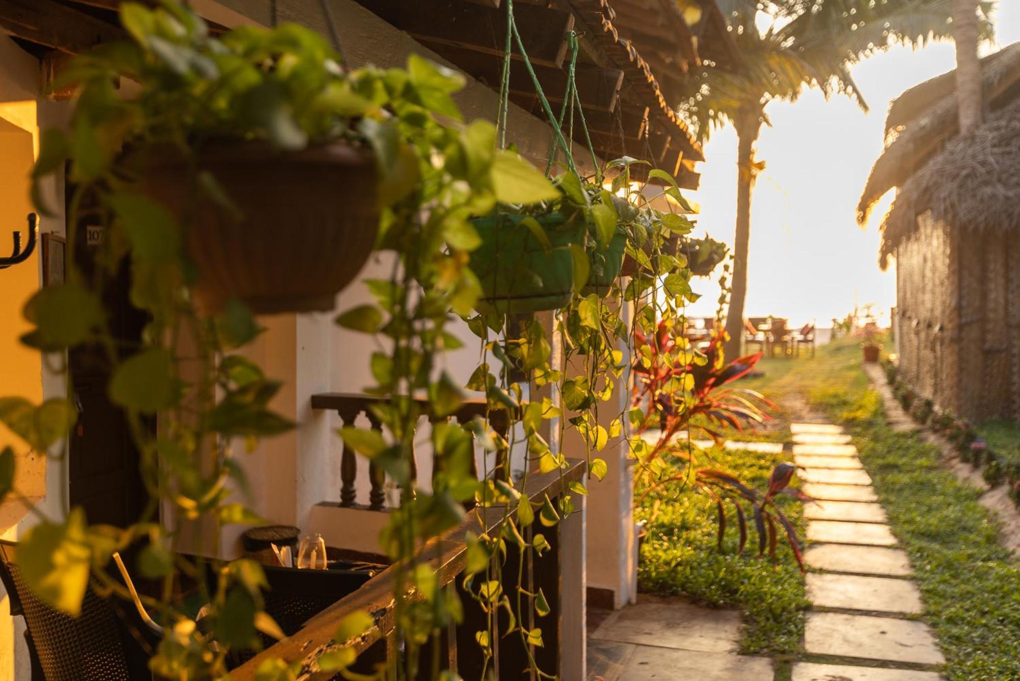 Forget Me Not Resort Agonda Luaran gambar